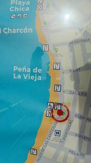 GC-Paseo Las Canteras (Las Palmas) 2026-065.jpg